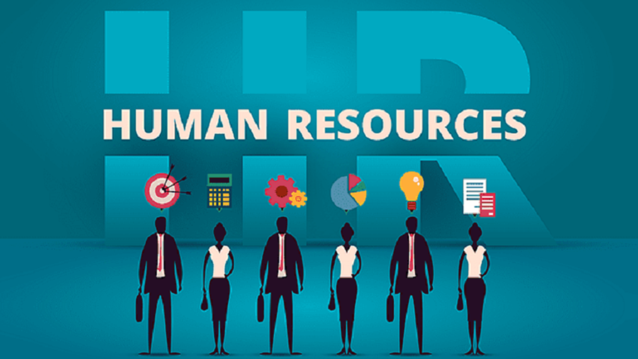 Human and material resources in education